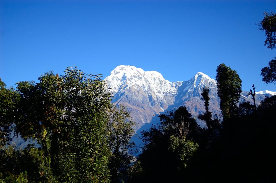 Pokhara:- 5 Days/4 Nights Mardi Himal Base Camp Trek - Itinerary Details