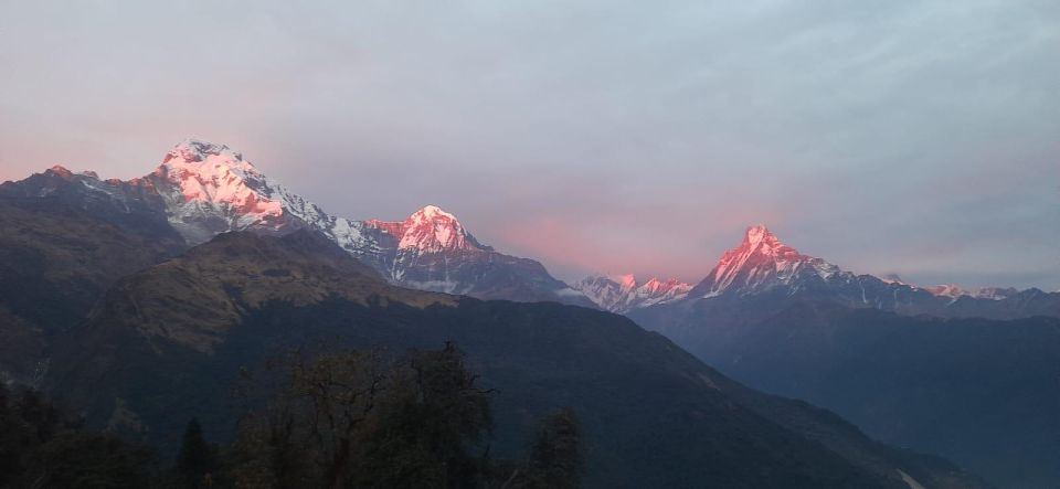 Pokhara: Guided Day Hike From Dampus To Australian Base Camp - Scenic Highlights