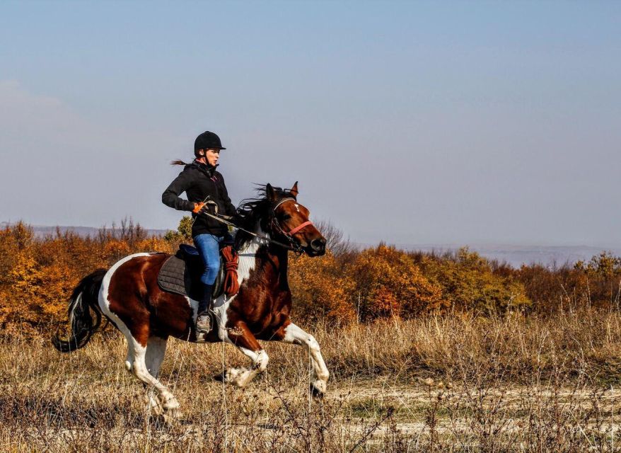 Pokhara: Horseback Adventure - Scenic Trails and Landscapes