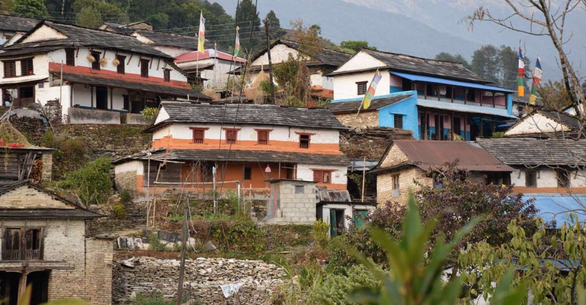 Pokhara: One Night Homestay Tour in Typical Lwang Village - Cozy Accommodations