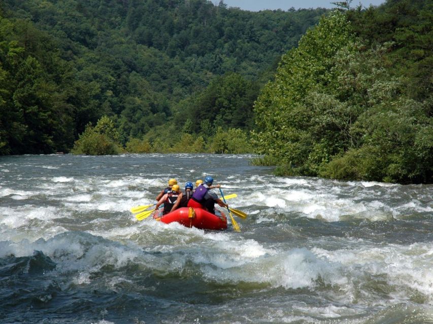 Pokhara: Seti Whitewater Guided Half Day Rafting Adventure - Detailed Itinerary