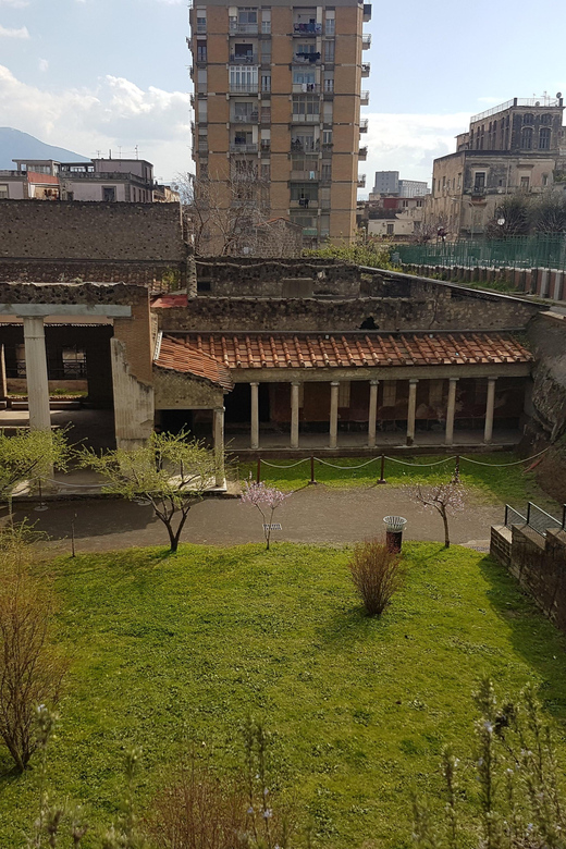 Pompeii: Oplontis Small Group Tour With an Archaeologist - Pricing and Booking