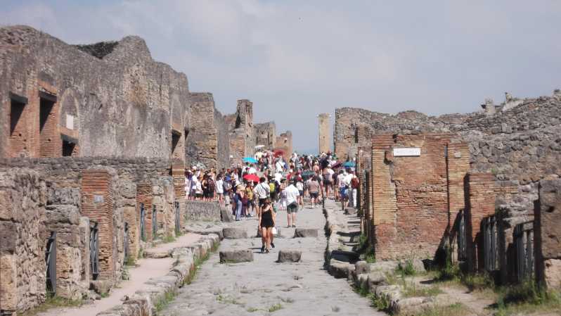 Pompeii: Private Tour With Wine Tasting on Vesuvius - Itinerary and Experience