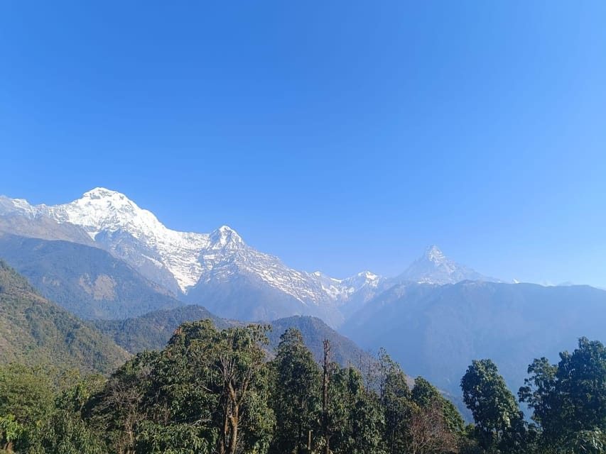 Poon Hill Trekking 3 Days From Pokhara - Itinerary Highlights