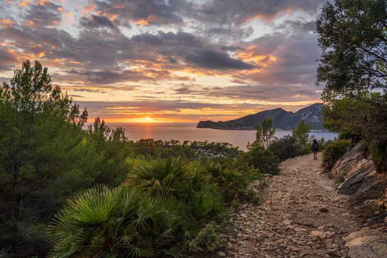 Port Andratx: Hiking Tour Into the Sunset to Sant Elm - Itinerary Details