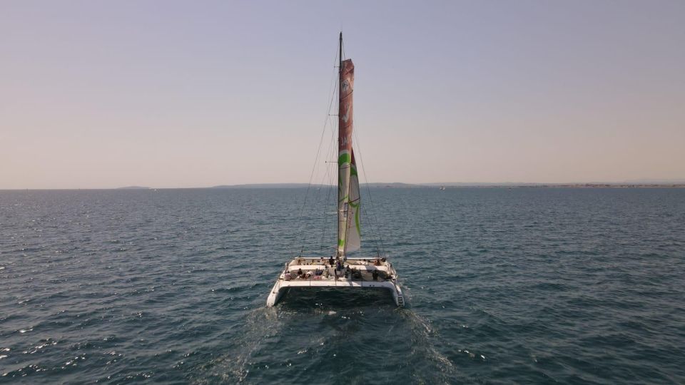 Port Camargue: Half-Day Sailing Tour on a Racing Catamaran - Sailing Experience