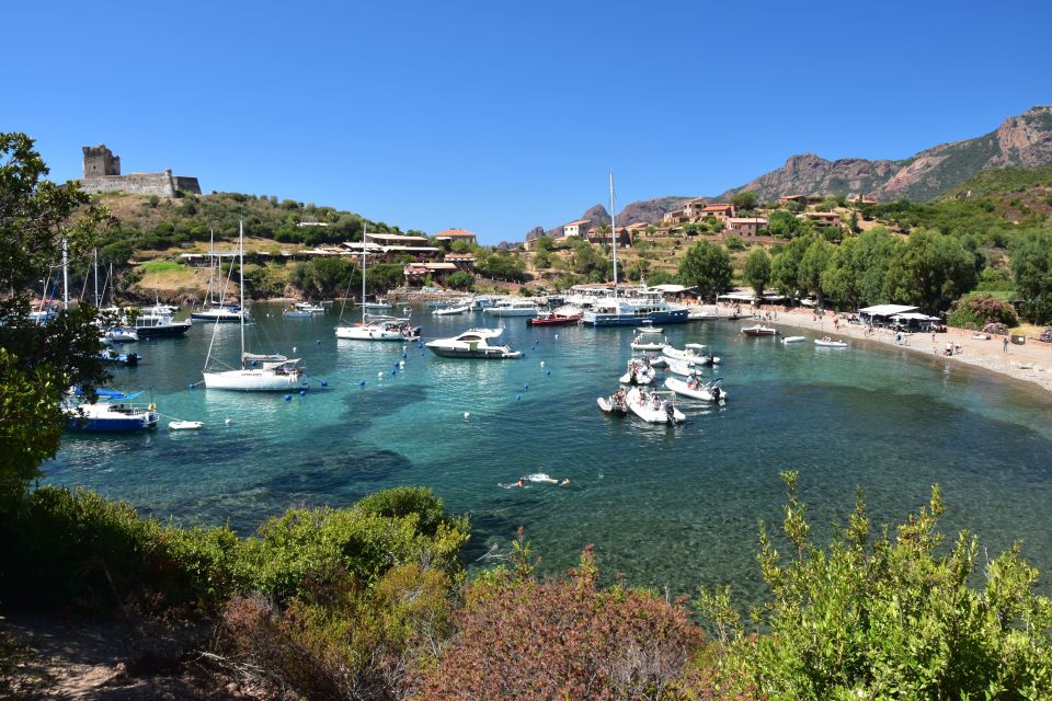 Porto: Scandola Nature Reserve and Creeks of Piana Boat Tour - Experience Highlights