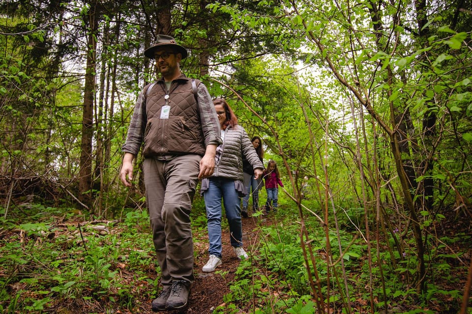 Postojna: Bear Watching Tour With Ranger and Local Guide - Experience and Itinerary