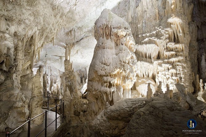 Postojna Cave and Predjama Castle Tour From Ljubljana - Postojna Cave Highlights