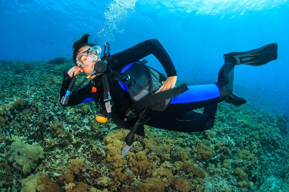 Premium PADI Advanced Open Water Course - Course Structure and Skills Development