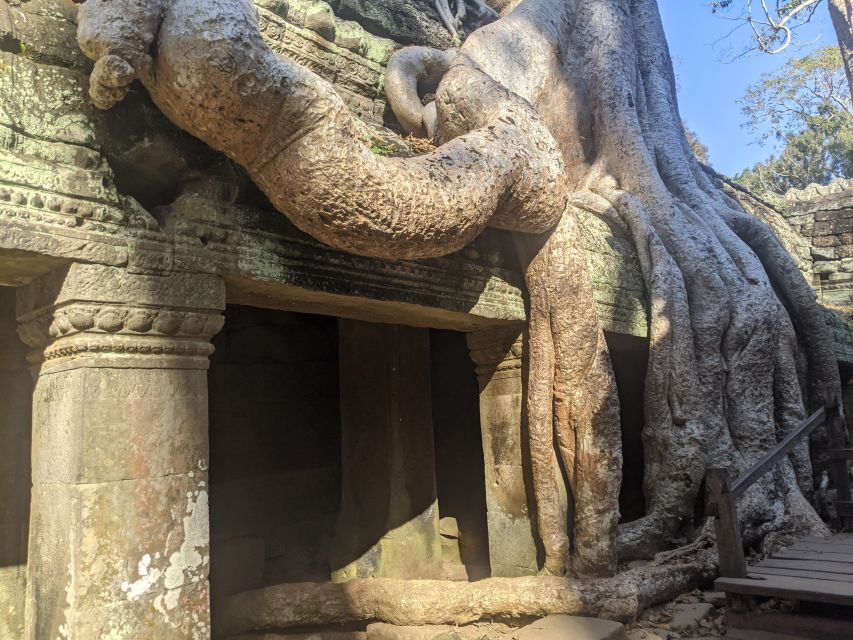 Private Angkor Wat Sunrise Small Tour - Itinerary Highlights