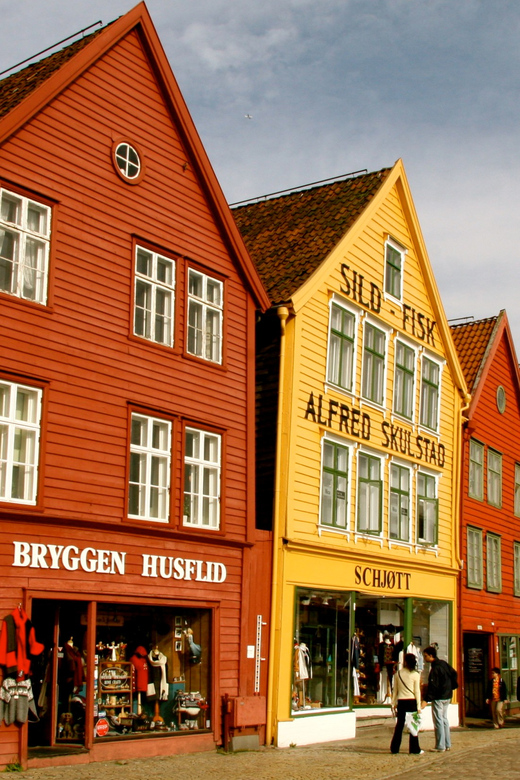 Private Bergen Walking Tour - Experience Highlights