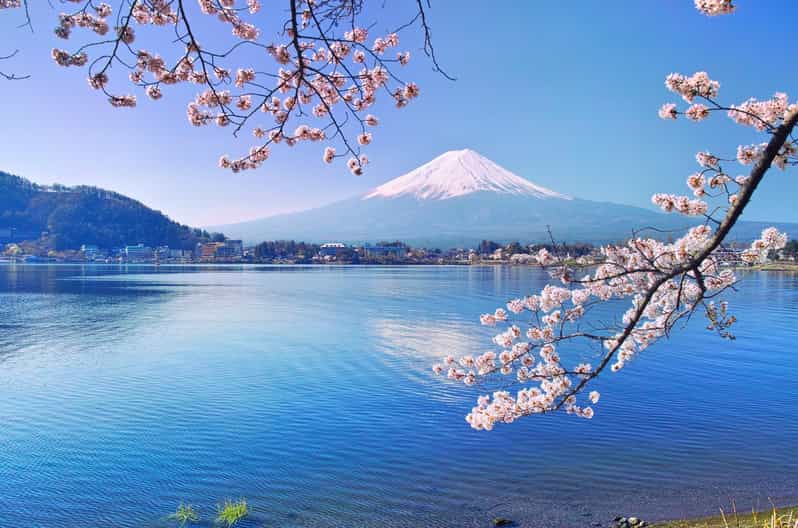 Private Customized Tour in Mount Fuji - Itinerary Highlights