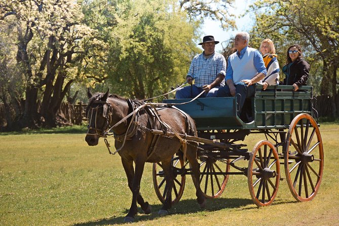 Private Day Tour to an Argentinian Estancia - Experience at San Antonio De Areco