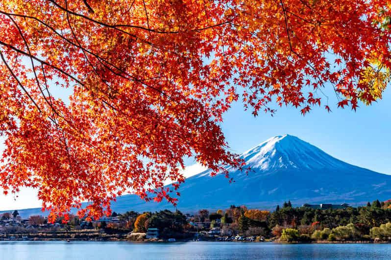 Private Day Tour to Mount Fuji Hakone With English Driver - Itinerary Highlights