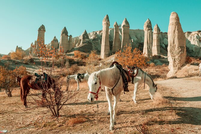 Private Day Trip to Cappadocia From Istanbul - Itinerary and Schedule