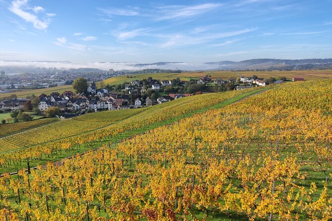 Private Day Trip to the Romantic Rhine Valley With River Cruise and Wine Tasting - Guide and Experience Details