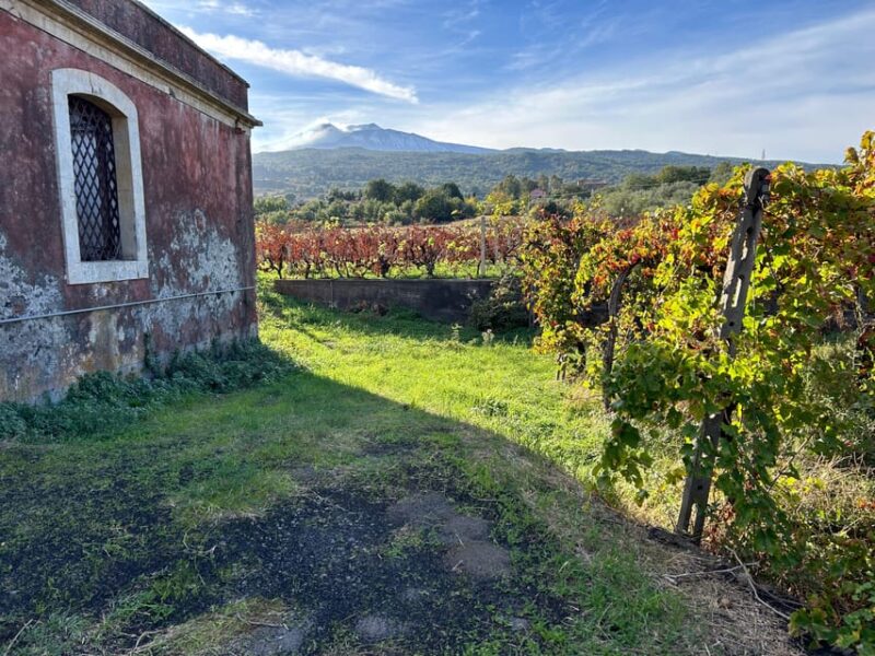 Private Etna Panoramic Tour+Wine Tasting & Food Combination - Pickup and Transportation Details