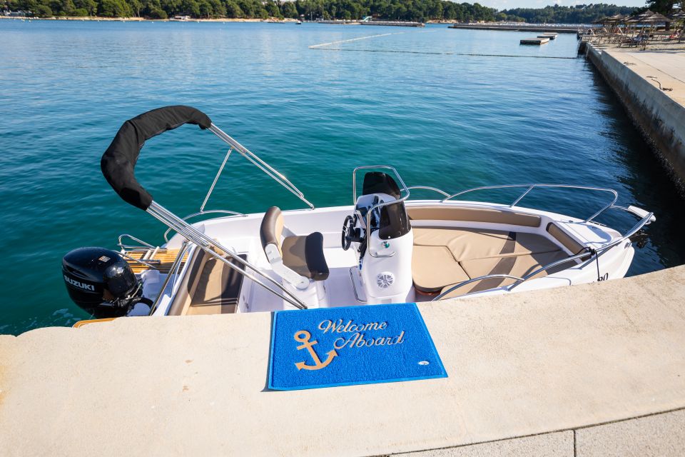 Private Family Dolphin Tour in Poreč - Experience Highlights