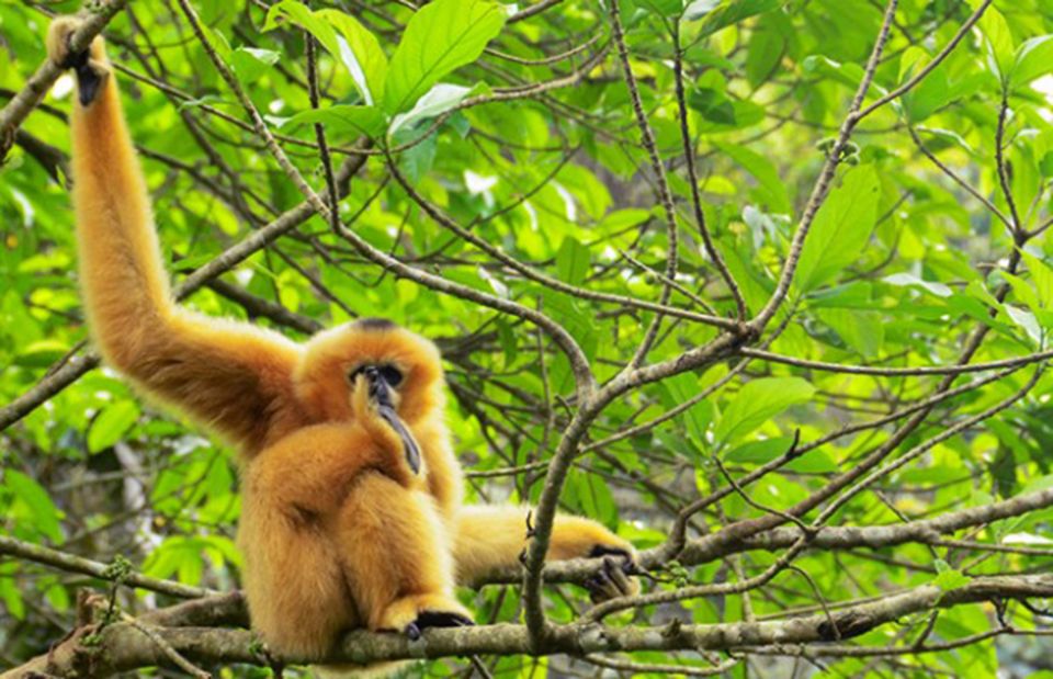 Private Full Day Tam Coc, Cuc Phuong National Park W/ Lunch - Itinerary Highlights