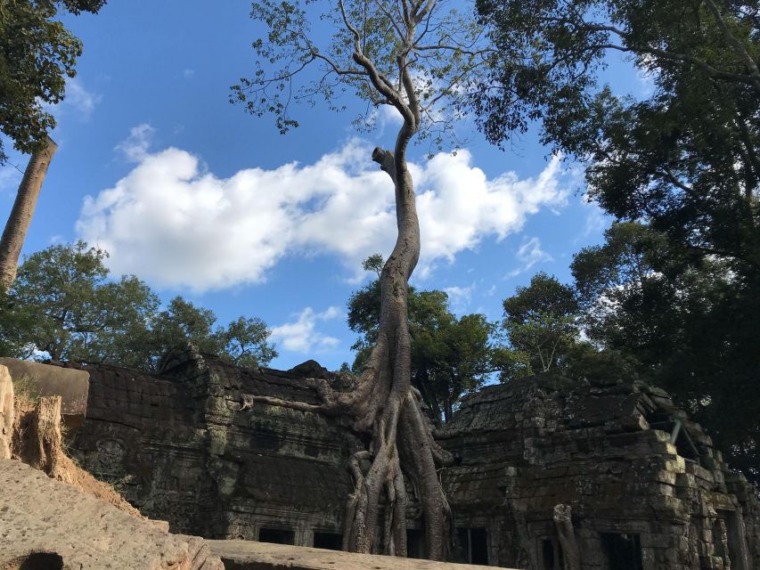 Private Guide: 1-Day Tour to Angkor Wat - Itinerary Highlights