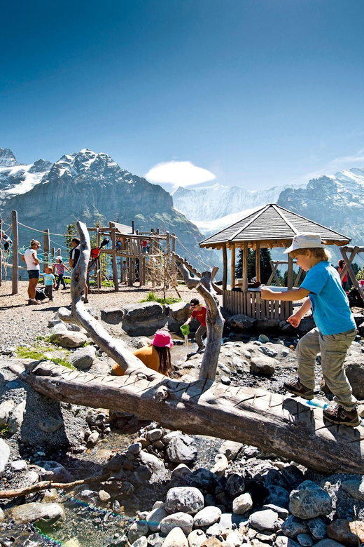 Private Guided Tour to Grindelwald First From Zurich - Scenic Highlights