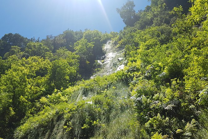 Private Guided Walk Levada Do Rei - Pickup Information