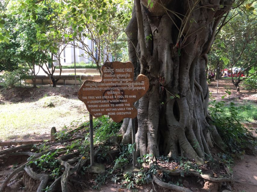 Private Half Day to Killing Field and S21 Genocidal Museum - Itinerary and Highlights