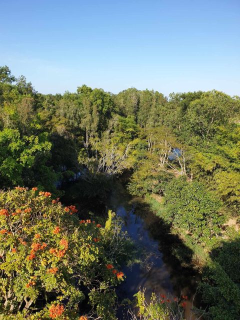Private Half Day Tour - Nature, Wildlife & Forest in Can Tho - Pricing Information