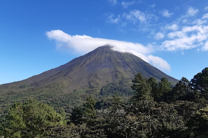 Private Hanging Bridges / Waterfall / Typical Lunch / Volcano-Lava Fields Combo - Mistico Arenal Hanging Bridges