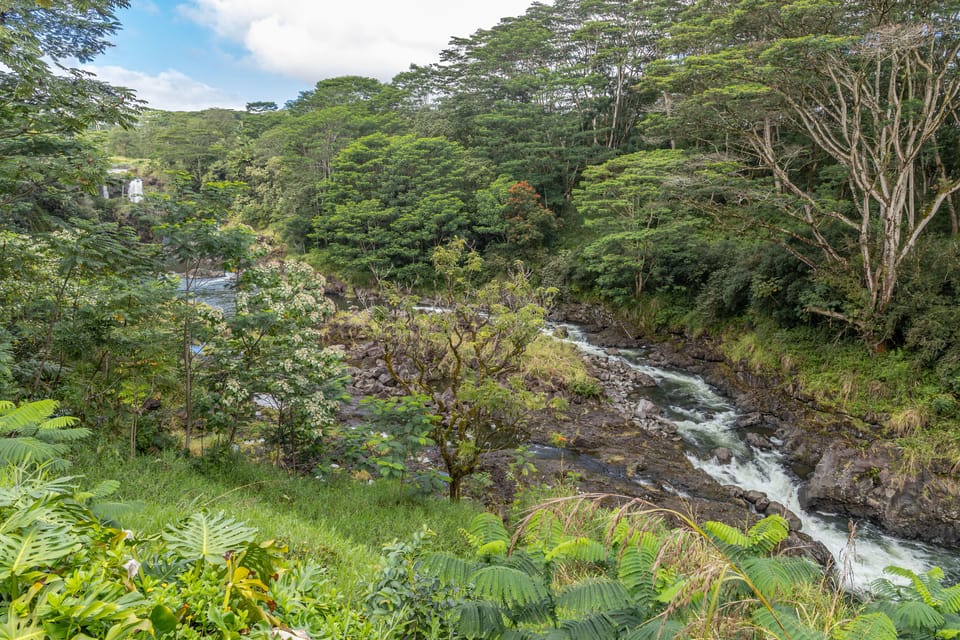 Private Hilo Cruise Special - Gardens, Markets & Waterfalls - Itinerary Overview