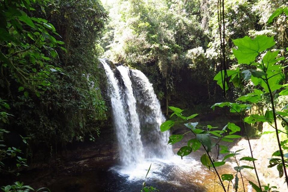 Private Horseback Riding Tour to Tres Chorros Waterfall - Cancellation and Payment Policies