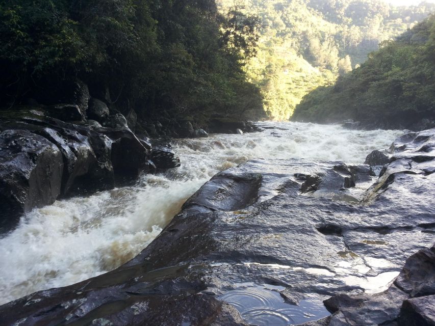 Private Jeep Tour to the Surroundings of San Agustín - Highlights of the Experience