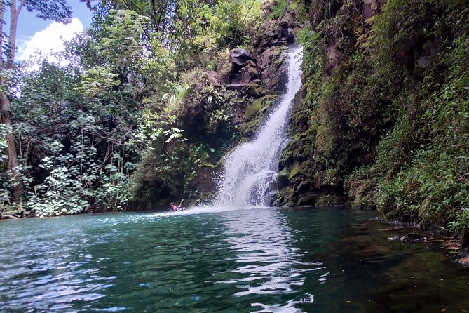 Private Jungle Waterfall Adventure, Wit Da Native Hawaiian Dundee - Tour Highlights