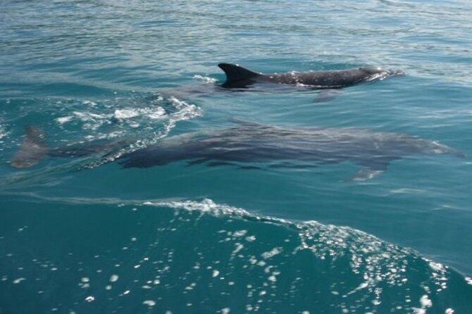 Private Morning Catamaran in Playa Flamingo - Meeting and Pickup Details