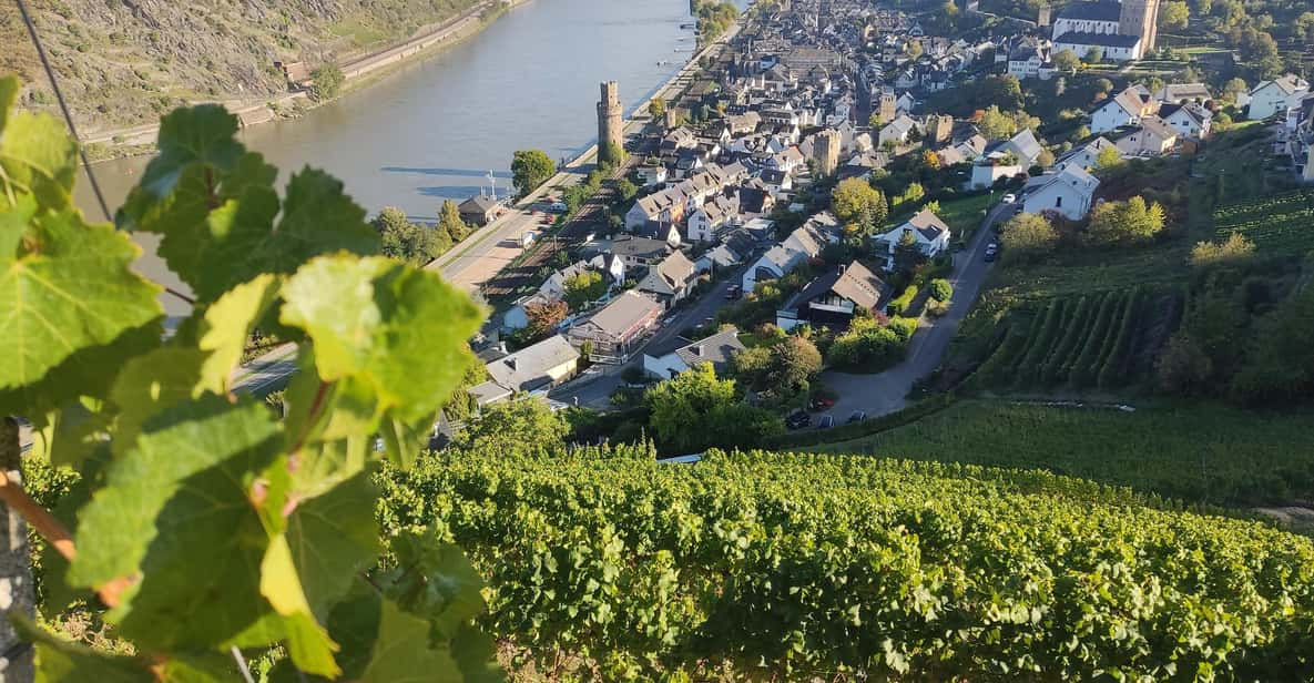 Private Rhine Valley Tour With River Cruise & Wine Tasting - Itinerary Highlights