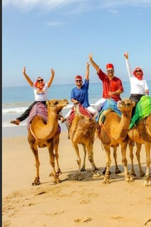 Private Tangier Tour From Cadiz Including Camel & Lunch - Itinerary Highlights