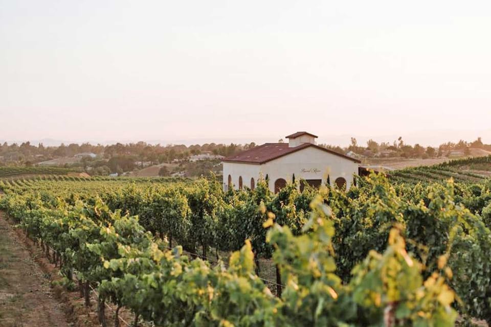 Private Temecula Wine Trail and Old Town Dinning and Shop. - Itinerary Highlights