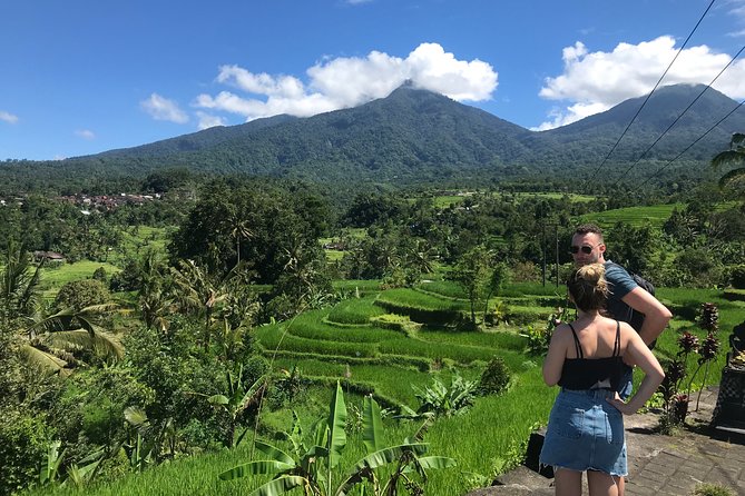Private Tour: Bali Temple and Countryside Tour - Itinerary Highlights