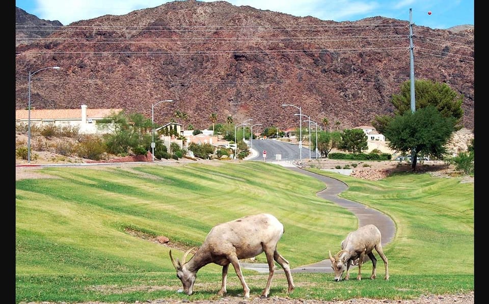 Private Tour From Las Vegas to Boulder City and Hoover Dam - Experience Highlights