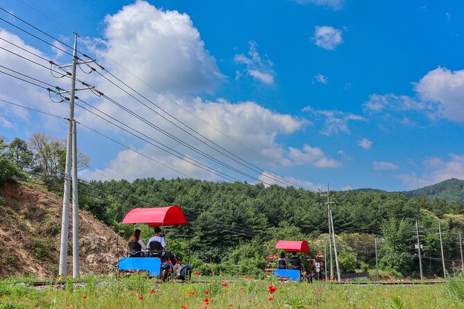 (Private Tour) Nami Island + Railbike + Garden of Morning Calm - Discovering Nami Island