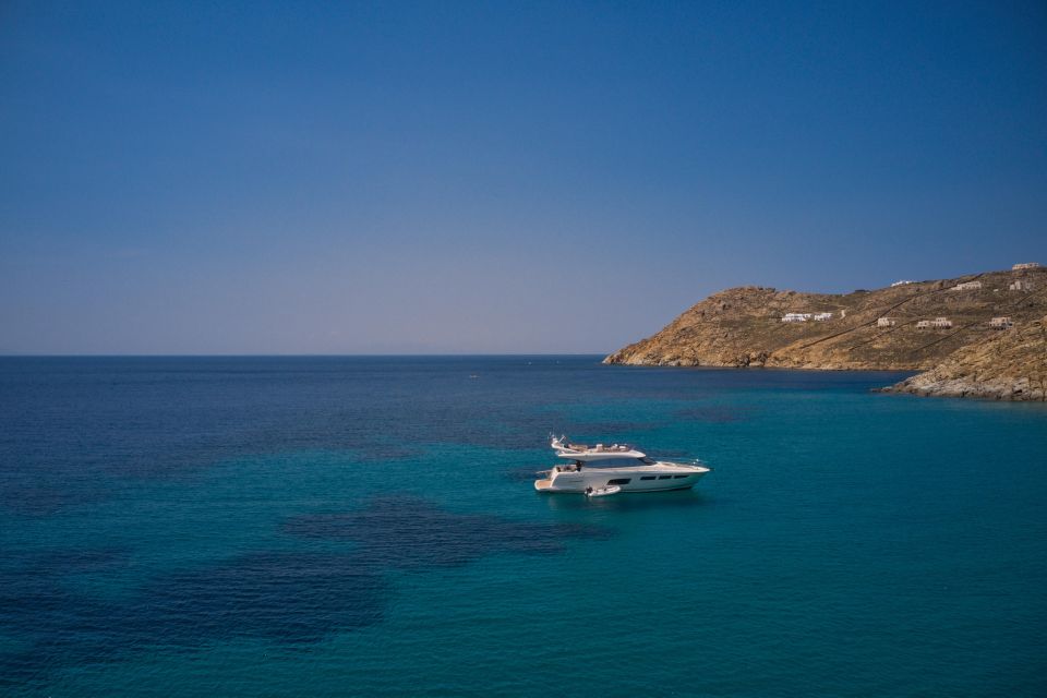 Private Tour - South Coast of Mykonos (4 Hours) - Cruise Experience Details