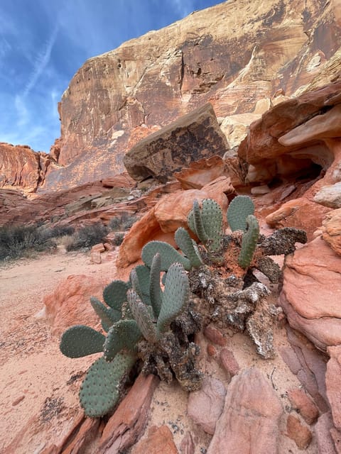 Private Valley of Fire Adventure - Experience With Expert Guide