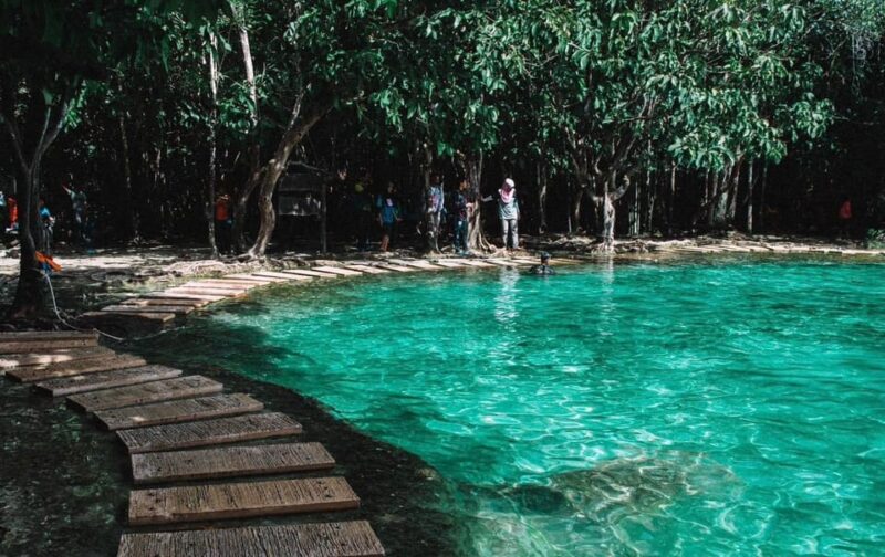 Private VIP Van Jungle Tour ( VIP ) - Itinerary Highlights