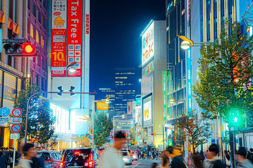 Private Walking Night Tour to Shinjuku Back Street - Itinerary Highlights Explained