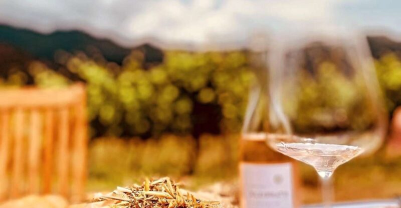Private Wine Tasting With Transportation - Pricing Details