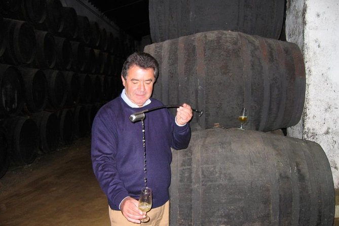 Private Wine Tour to Jerez De La Frontera - Winery Visits and Tastings