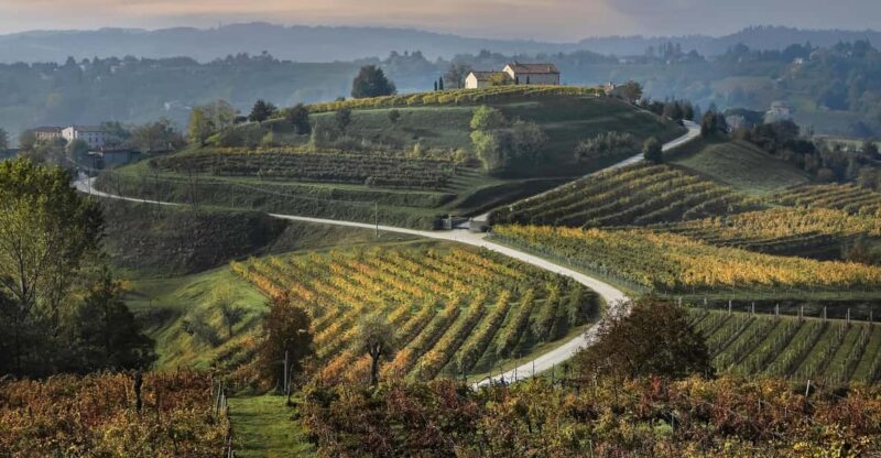 Prosecco Hills Bike Tour From Venice - Experience Highlights