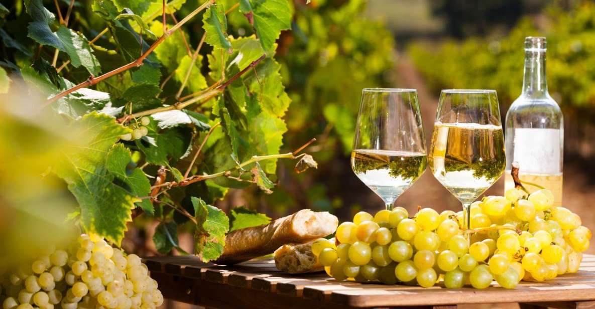 Provencal Market & Wine Tasting Full Day Tour - Itinerary Highlights