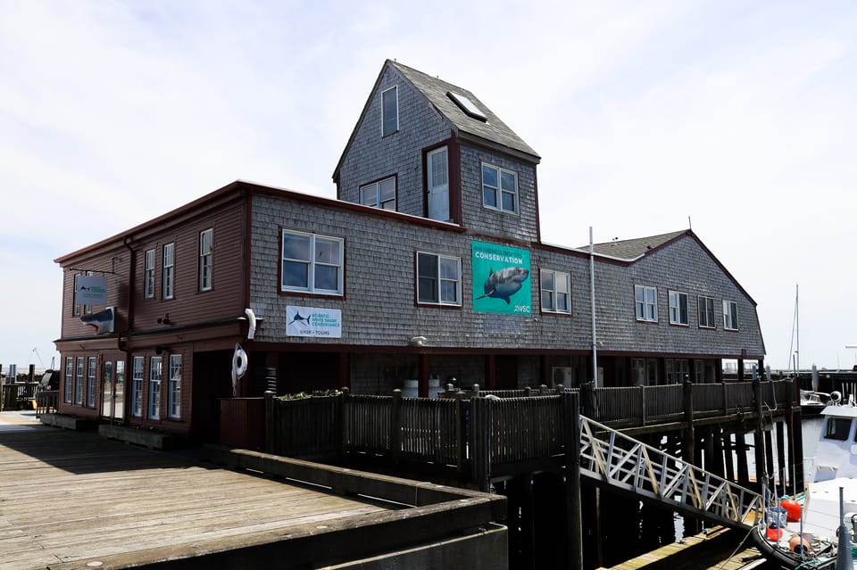 Provincetown: Shark Center Provincetown Admission Ticket - Experience Overview